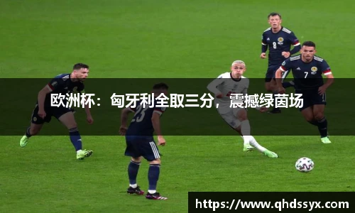 欧洲杯：匈牙利全取三分，震撼绿茵场