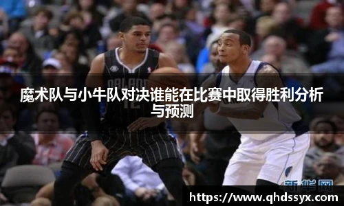 B体育bsports