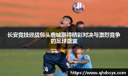 bsports官网入口